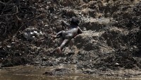 Seorang balita terlihat merayap diantara lumpur di kamp pengungsian Coxs Bazar, Bangladesh, Kamis (21/9/2017). REUTERS/Cathal McNaughton.
