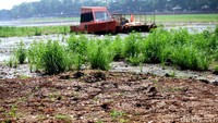 Begini penampakan surutnya danau Setu Babakan, Srengseng Sawah, Jagakarsa, Jakarta Selatan, Kamis (21/9/2017).