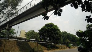 Di JPO Ini Irvan Tarung Lawan 3 Begal Lalu Jatuh ke Tol