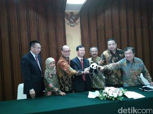 2 Giant Panda Dibawa ke Indonesia, Ini Persiapan yang Dilakukan