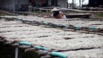 Melihat Produksi Ikan Teri di Pulau Pasaran