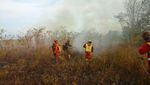 Hotspot di Kalimantan Barat Terpantau Meningkat
