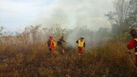 Hotspot di Kalimantan Barat juga terpantau cukup tinggi berdasarkan satelit TERRA AQUA (NASA) confidence level ≥80, yaitu sebanyak 12 titik dari total 22 hotspot  yang terpantau. 