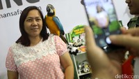 Kali ini Garuda Indonesia memberikan promo diskon tiket hingga 80 persen untuk penerbangan domestik dan internasional.