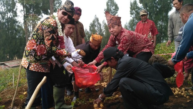 60 Persen Kentang di Jatim Dipasok dari Pasuruan 60 Persen Kentang di Jatim Dipasok dari Pasuruan