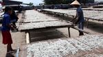 Melihat Produksi Ikan Teri di Pulau Pasaran