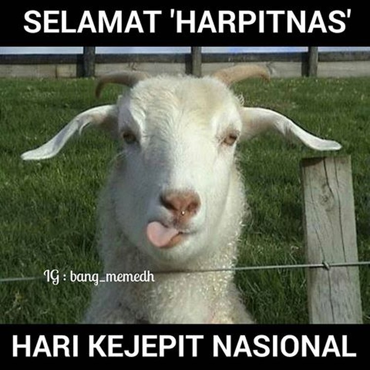 Curhatan Kocak Netizen Lewat Meme Harpitnas