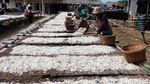 Melihat Produksi Ikan Teri di Pulau Pasaran