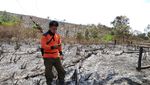 Hotspot di Kalimantan Barat Terpantau Meningkat