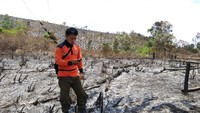 “Di Kalimantan Barat masih menganut kearifan lokal dengan sebutan 7 (tujuh) T, yaitu Tebas, Tebang, Tunu, Tugal, Tanam, Tuai dan Tinggal,” ujar Raffles.