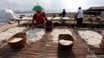 Melihat Produksi Ikan Teri di Pulau Pasaran
