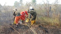 Raffles juga mengungkapkan, “Berdasarkan hasil temuan di lapangan, para masyarakat sudah mulai memilih metode pengolahan lahan dengan bantuan traktor dan teknologi pertanian lainnya”.