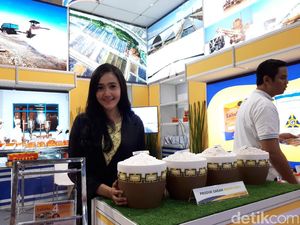 Yuk Intip Deretan SPG Cantik di Pameran BUMN
