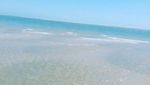 Foto: Bukan Pantai, Ini Gurun Pasir