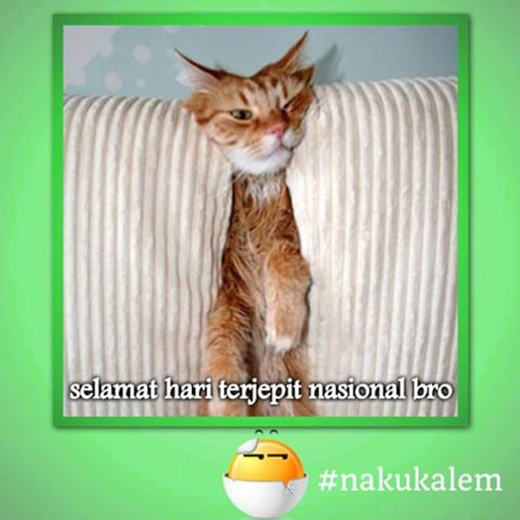 Curhatan Kocak Netizen Lewat Meme Harpitnas