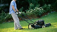 Memotong rumput tergolong pekerjaan rumah tangga yang menguras tenaga. Jika dilakukan manual, memotong rumput bisa memangkas 281 kalori per 30 menit. Namun jika dilakukan dengan mesin, kalori yang terbakar hanya 215 kalori. Foto: Thinkstock