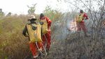 Hotspot di Kalimantan Barat Terpantau Meningkat