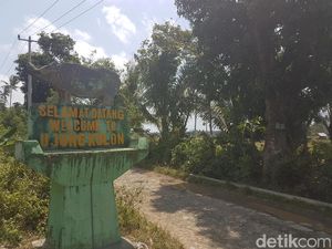 KLHK Siapkan Habitat Baru untuk Badak Jawa Selain di Ujung Kulon