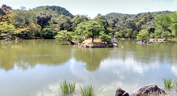 Berdiri di antara pepohonan khas Jepang yang rimbun, Kuil Kinkaku-ji terlihat adem dan nyaman. Cocok sebagai destinasi liburan (Hans/detikTravel) Berdiri di antara pepohonan khas Jepang yang rimbun, Kuil Kinkaku-ji terlihat adem dan nyaman. Cocok sebagai destinasi liburan (Hans/detikTravel)
