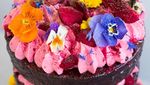 Lihat Cantiknya Warna-warni Cake Buatan Mantan Guru Ini