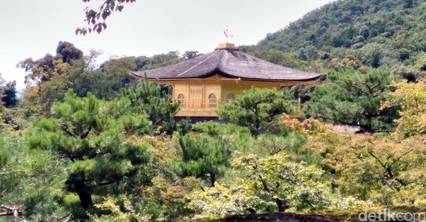 Di tahun 1397, seorang shogun bernama Ashikaga Yoshimitsu tertarik dan membelinya dari Saionji. Ashikaga lalu mendirikan komplek vila bernama Kitayama-den. Singkat cerita, vila ini akhirnya diubah menjadi kuil, setelah Ashikaga wafat. Sekarang, kuil emas ini jadi destinasi yang sayang untuk dilewatkan traveler yang liburan ke Kyoto, Jepang (Hans/detikTravel) Di tahun 1397, seorang shogun bernama Ashikaga Yoshimitsu tertarik dan membelinya dari Saionji. Ashikaga lalu mendirikan komplek vila bernama Kitayama-den. Singkat cerita, vila ini akhirnya diubah menjadi kuil, setelah Ashikaga wafat. Sekarang, kuil emas ini jadi destinasi yang sayang untuk dilewatkan traveler yang liburan ke Kyoto, Jepang (Hans/detikTravel)