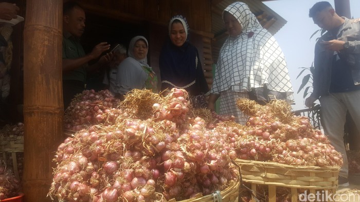 Kementan Inovasi Mesin Panen Bawang Merah