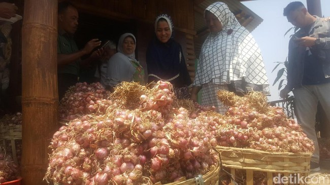 Harga Bawang dan Cabai Turun, Petani Ketar-ketir
