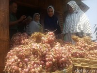 Harga Bawang dan Cabai Turun, Petani Ketar-ketir