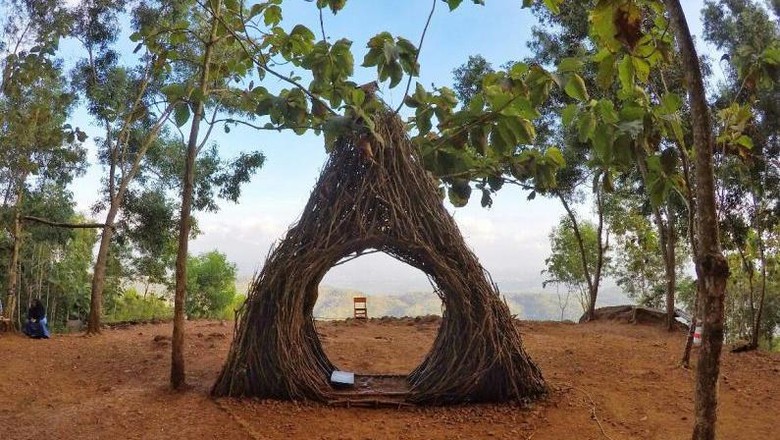 Pinus Pengger Spot wisata baru di Yogyakarta