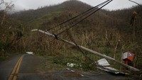 Sebuah tiang listrik yang jatuh di sisi jalan setelah daerah tersebut dilanda Badai Maria di Yabucoa, Puerto Riko. (REUTERS/Carlos Garcia Rawlins)