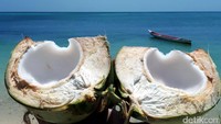 Menikmati pemandangan laut biru dan pantai berpasir putih Pulau Liran, paling enak ditemani kelapa muda. Duh, segar banget dan bikin betah! (Eduardo/detikTravel)