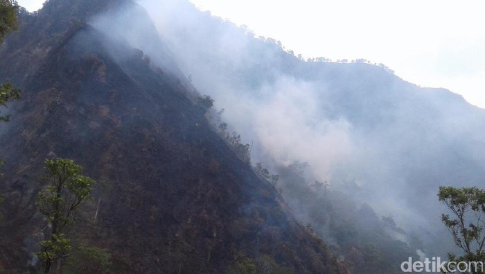 Hutan Terbakar, Pendakian Gunung Muria Ditutup