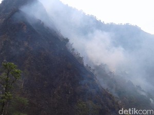 Hutan Terbakar, Pendakian Gunung Muria Ditutup