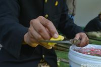 Tahun Baru Islam, Keraton Kasepuhan Cirebon Mandikan 1.000 Tahun Baru Islam, Keraton Kasepuhan Cirebon Mandikan 1.000