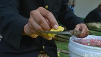 Sultan Kasepuhan Sultan Sepuh XIV PRA Arief Natadiningrat menjelaskan Cirebon memiliki sejarah yang panjang. Senjata pusaka, seperti tombak, keris, kujang, pedang, golok, dan lainnya menjadi saksi peradaban Cirebon. Untuk itu, sambung Aref, senjata pusaka tersebut harus dijaga dan dirawat sebagai benda cagar budaya (Sudirman/detikTravel)
