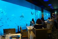 Romantis! Bersantap di Restoran 'Bawah Laut' yang Cantik di RWS Ini
