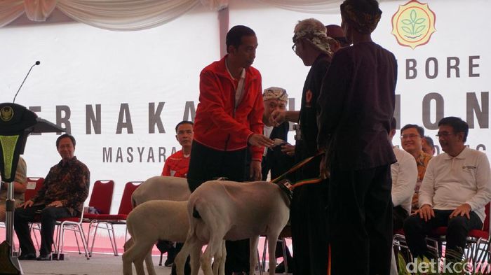 Foto: Bagus Prihantoro Nugroho Foto: Bagus Prihantoro Nugroho
