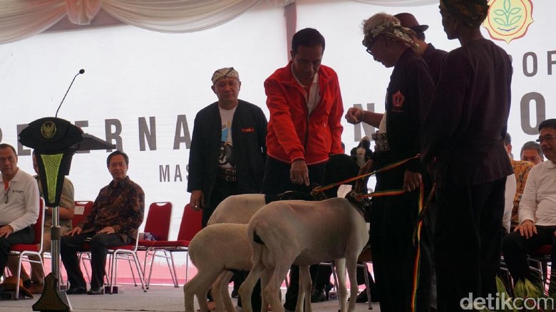 Jokowi Pamer Kambing di Jambore Peternakan: Nggak Kurus Kayak Saya Jokowi Pamer Kambing di Jambore Peternakan: Nggak Kurus Kayak Saya