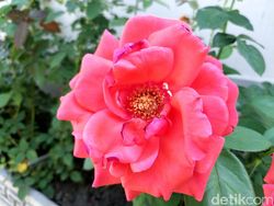 Menyusuri Beijing dengan Mi Mix 2