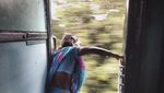 Potret Penumpang Kereta di India