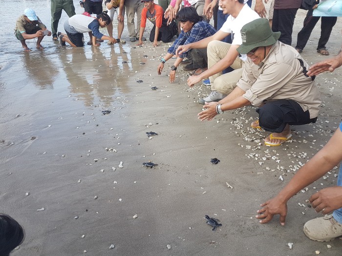 Yang Kamu Belum Tahu, Ujung Kulon Punya Konservasi Penyu