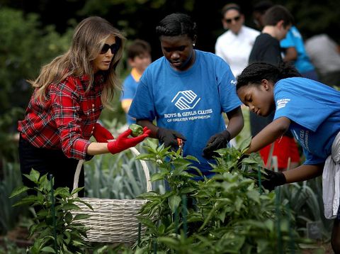 Lagi, Melania Trump Dikritik karena Berkebun Pakai Kemeja Rp 18 Juta