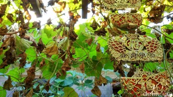 Foto: detikINET/Anggoro Suryo Jati