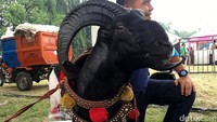 Perhelatan tersebut digelar di Bumi Perkemahan dan Graha Wisata Cibubur.