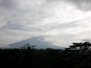 Karena Warga di Sekitar Gunung Agung Cinta Ternak...