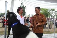 BNI jadi sponsor acara Jambore Peternakan Nasional 2017 untuk menjadikan Indonesia sebagai salah satu eksportir kambing dan domba utama di pasar internasional (Foto: BNI)