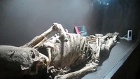 Ceritanya, pada tahun 1865 hingga 1958 pemerintah kota membuat aturan yang mengharuskan warga untuk membaya pajak pemakaman. Jika terlambat membayar pajak selama tiga tahun berturut-turut, mayat keluarga siapapun yang sudah dimakamkan akan digali dari kuburan (Museo de las Momias de Guanajuato Oficial/ Facebook)