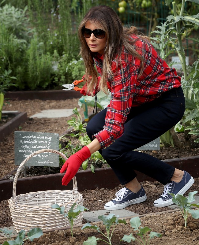 Busana Melania Trump kerap jadi sorotan dan kontroversi beberapa waktu lalu. Salah satunya ketika ia memakai kemeja plaid Rp 18 juta dari Balmain untuk berkebun atau ketika memakai boots Timberland di Puerto Rico. Foto: Getty Images