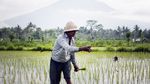 Gunung Agung yang Masih Jadi Magnet Turis