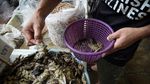 Foto: Sajian Serangga di Restoran Mewah Thailand
